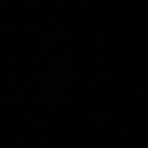 Meet your Posher, Bella